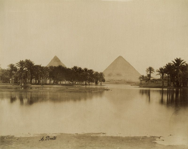 Antonio Beato, La valle del Nilo inondata dalle acque del fiume con un palmeto. Sullo sfondo le piramidi di Cheope e di Chefren, 1880 ca., stampa all’albumina, Archivi Alinari, Firenze