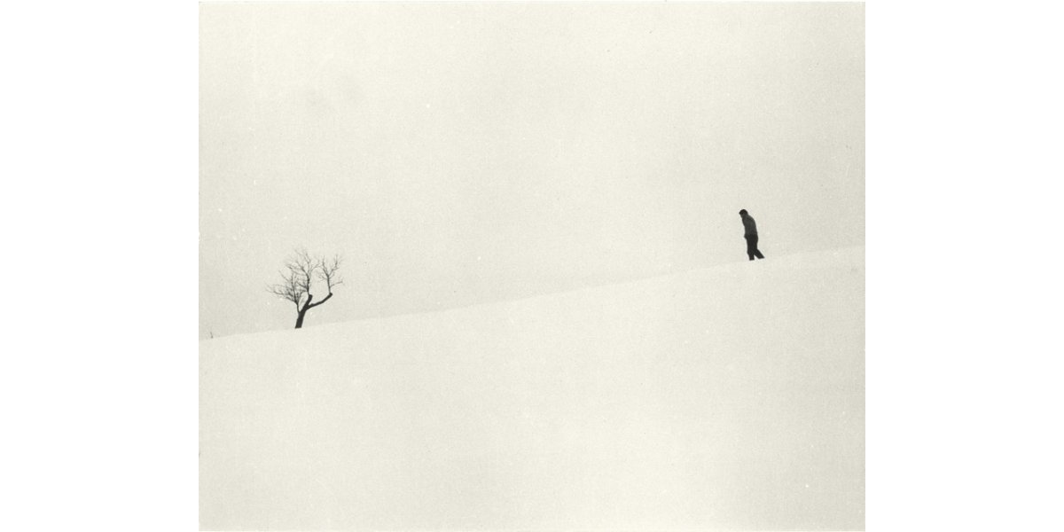 Luciano Ferri, Tree in the snow, Italy, 1950-1955 ca., gelatin bromide silver print on paper, Alinari Archives-Villani archive, Florence