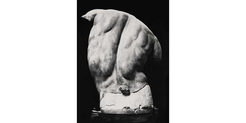 Fratelli Alinari , Torso Gaddi (Uffizi Gallery, Florence), 1880 ca., silver gelatin on glass plate negative, Alinari Archives - Alinari Archive, Florence