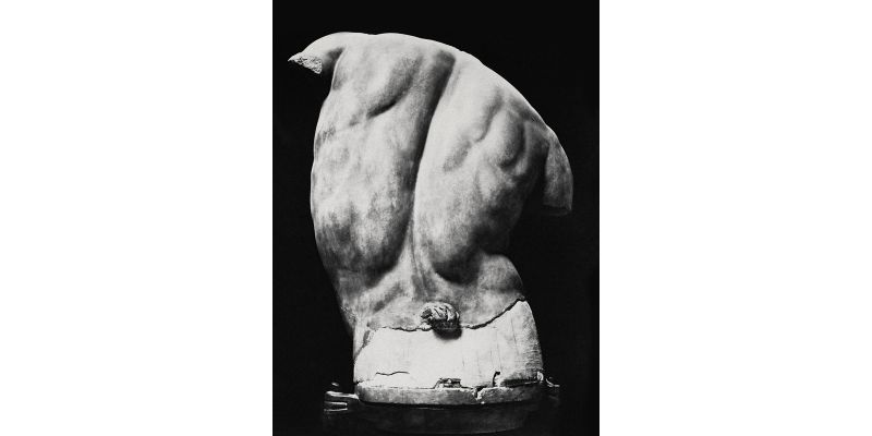 Fratelli Alinari , Torso Gaddi (Galleria degli Uffizi, Firenze), 1880 ca., negativo alla gelatina sali d’argento su vetro, Archivi Alinari - Archivio Alinari, Firenze