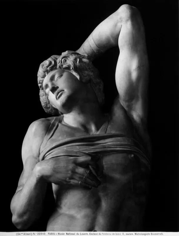 Fratelli Alinari, Michelangelo Buonarroti, Particolare del Prigione detto lo schiavo morente (1513 ca.), Museo del Louvre, Parigi, 1900-1908 ca., negativo alla gelatina sali d'argento su vetro, 21x27 cm, Archivi Alinari, Firenze