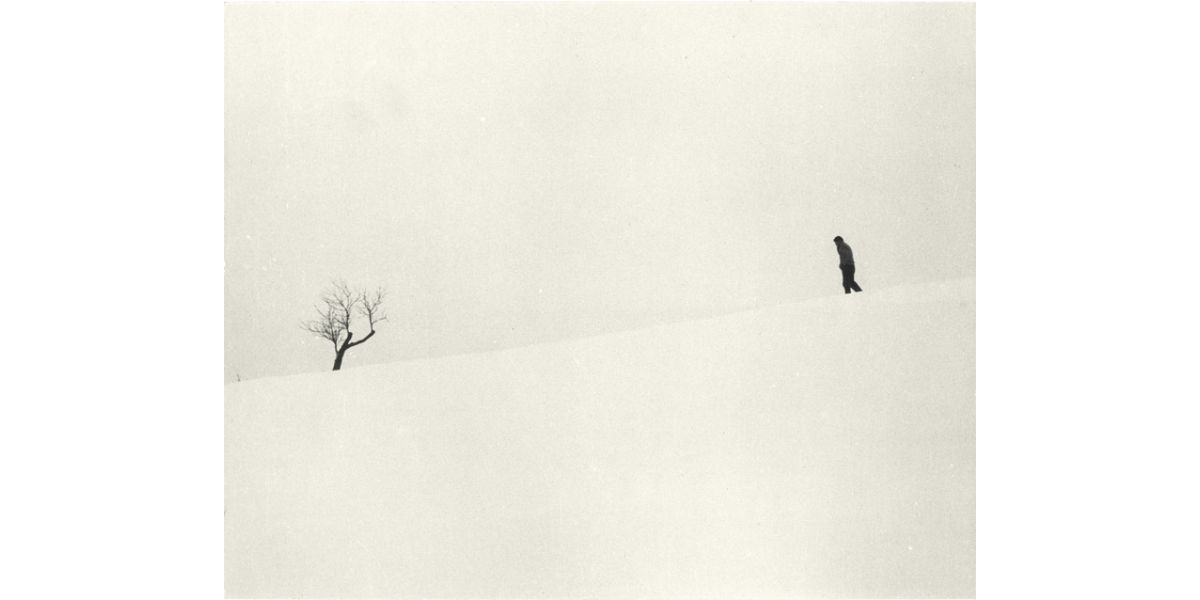 Luciano Ferri, Tree in the snow, Italy, 1950-1955 ca., gelatin bromide silver print on paper, Alinari Archives-Villani archive, Florence