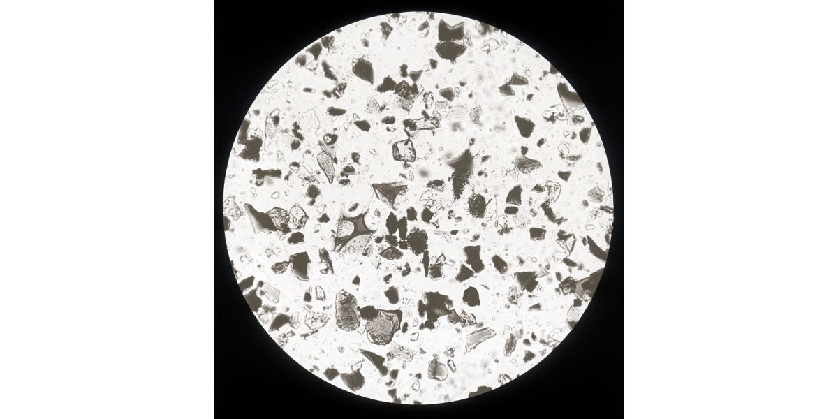 Giorgio Roster, 'Powders and earthy materials: volcanic ash from Vesuvius, 1872', Microphotography, magic lantern glass slide, 8x9 cm, Alinari Archives-Roster archive, Florence