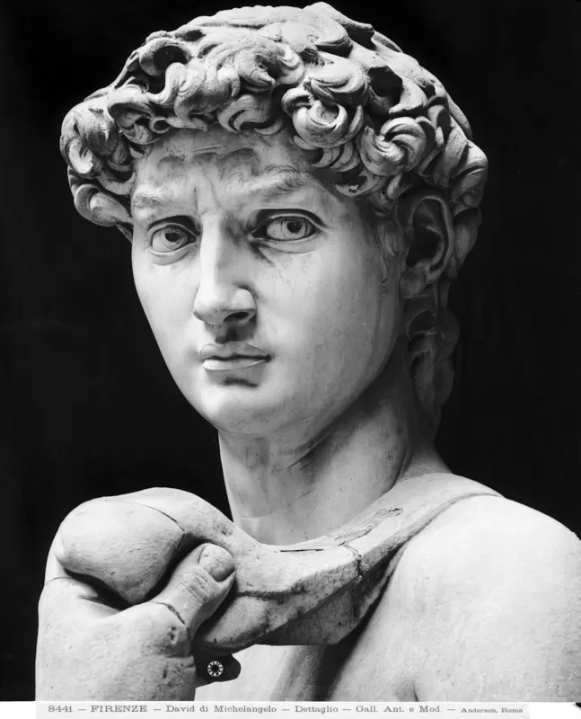 Stabilimento fotografico Anderson, Michelangelo Buonarroti, David (1501-1504), dettaglio della testa, Galleria dell'Accademia, Firenze    1894-1900, negativo alla gelatina sali d'argento su vetro, 21x27 cm, Archivi Alinari, Firenze