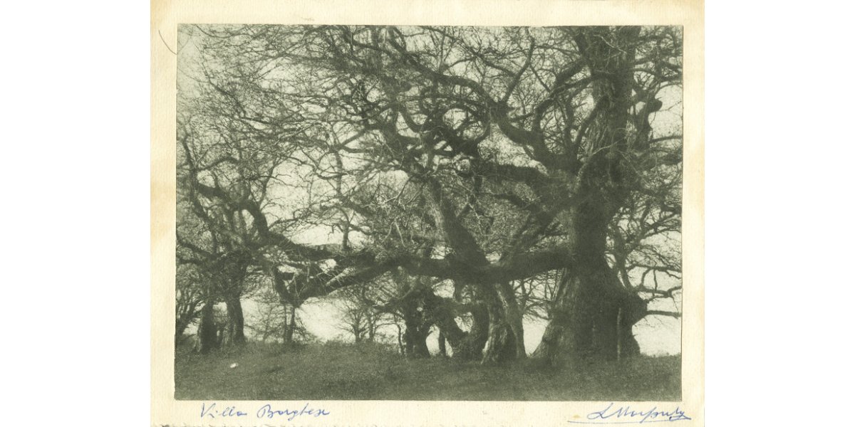 Luciano Morpurgo, “Villa Borghese”, Roma 1910-1920 ca., transferred bromolium, Alinari Archives-Morpurgo archive, Florence