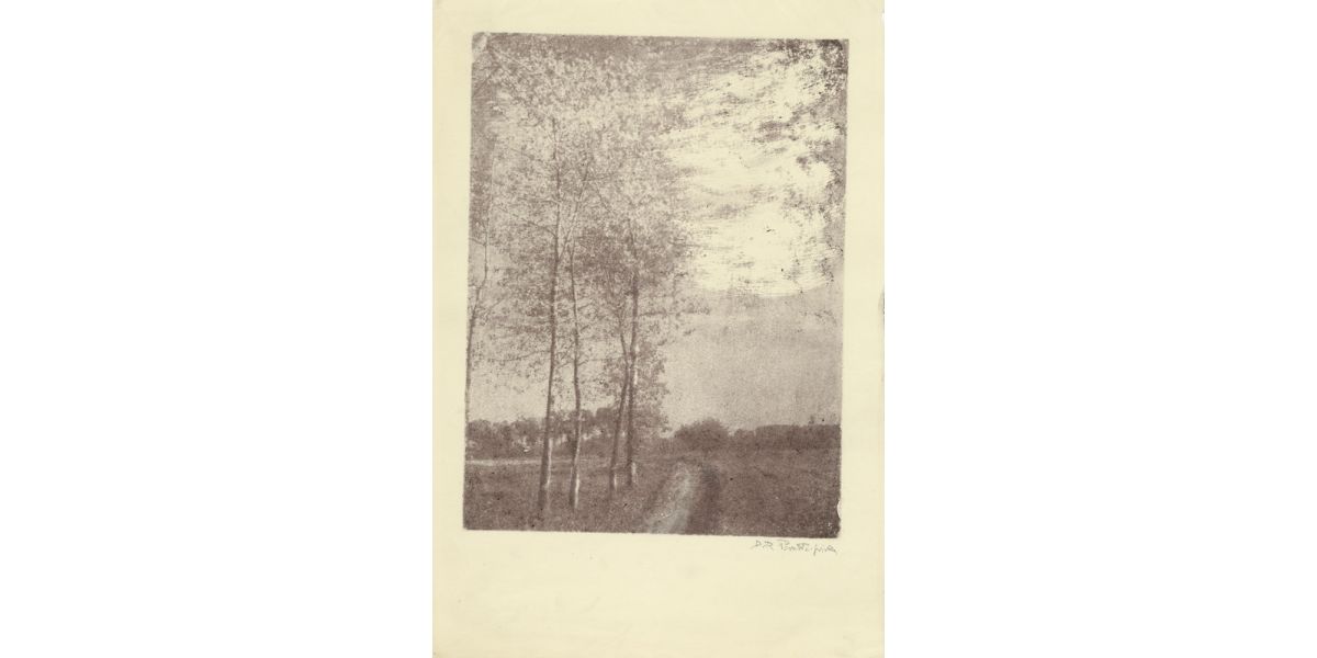 Domenico Riccardo Peretti Griva, Alberi, Piemonte, 1910-1920 ca., bromolio trasferto, Archivi Alinari, Firenze