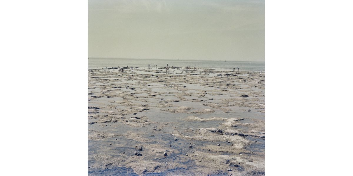 Vincenzo Balocchi, La spiaggia di Cecina, settembre 1962, pellicola in acetato di cellulosa alla gelatina sali d’argento a colori, 6 x 6 cm, Archivi Alinari-archivio Balocchi, Firenze