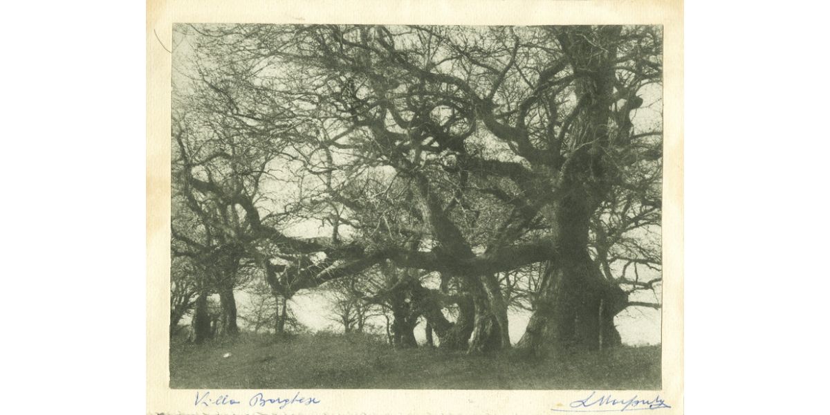 Luciano Morpurgo, “Villa Borghese”, Roma 1910-1920 ca., transferred bromolium, Alinari Archives-Morpurgo archive, Florence