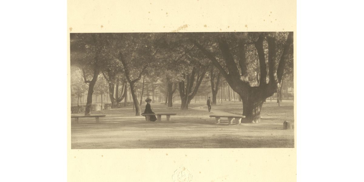 Vittorio Alinari, Parco delle Cascine, Firenze, 1900 ca., fotoincisione, Archivi Alinari, Firenze