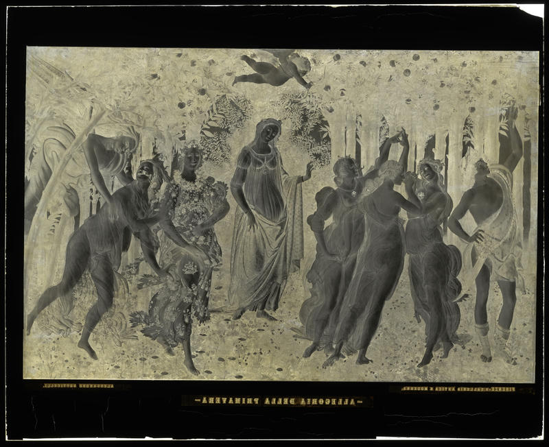 Fratelli Alinari, La Primavera, dipinto, Alessandro Filipepi detto Botticelli (1445-1510), Gallerie degli Uffizi, Firenze. Il negativo fa parte del corpus delle lastre extra formato, negativo alla gelatina ai sali d'argento su lastra di vetro, dimensioni:68,1 x 83,9 x 0,6 cm, Archivi Alinari, Firenze