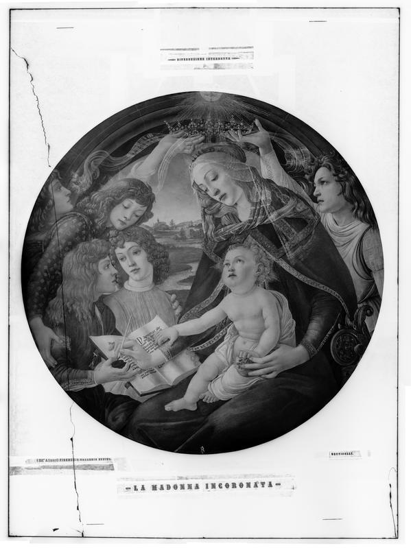 Fratelli Alinari, Madonna del Magnificat, dipinto, Alessandro Filipepi detto Botticelli (1445-1510), Gallerie degli Uffizi, Firenze. Il negativo fa parte del corpus delle lastre extra formato, negativo alla gelatina ai sali d'argento su lastra di vetro convertito digitalmente in positivo, dimensioni 114 x 83,6 x 0,7 cm, Archivi Alinari, Firenze