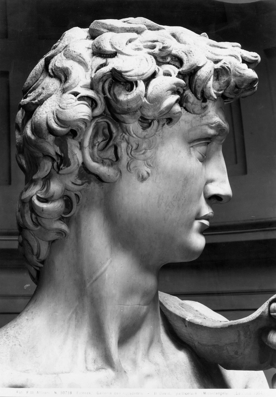 Fratelli Alinari, Michelangelo Buonarroti, David (1501-1504), detail of the head, Galleria dell'Accademia, Florence, before 1954, silver gelatin dry glass plate negative, Alinari Archives, Florence