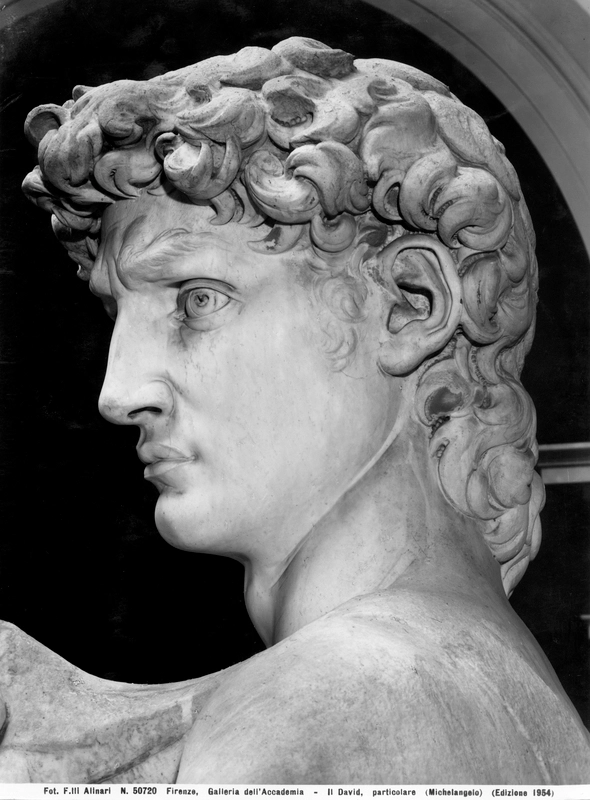 Fratelli Alinari, Michelangelo Buonarroti, David (1501-1504), detail of the head, Galleria dell'Accademia, Florence, before 1954, silver gelatin dry glass plate negative, Archivi Alinari, Firenze