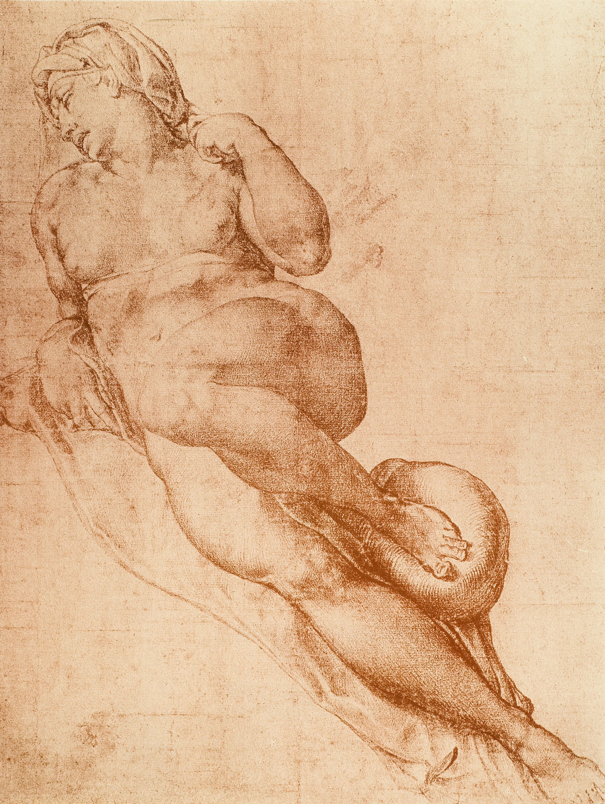 Fratelli Alinari, Francesco Salviati, after Michelangelo Buonarroti, Studyfor the statue of Aurora (ca. 1530) in the Medici Chapels, Basilica of San Lorenzo, Florence, The British Museum, London, before 1910, collotype print on paper, Alinari Archives, Florence